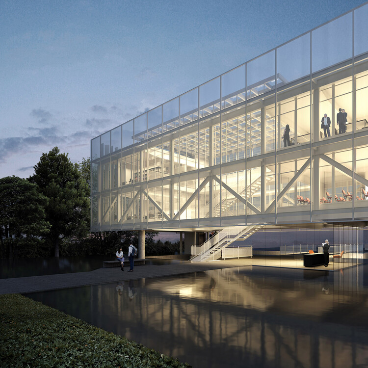 School of fish in lagoon